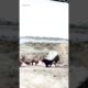 A fierce fight of a deer with three rhinos 🦏🐐😲😱🥺 #shorts #shortsfeed #deer #animals #viral