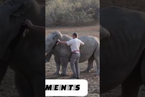 AMAZING RHINO, LIFE SAVING WORK IN AFRICA. Watch 3-minute full video inside channel.