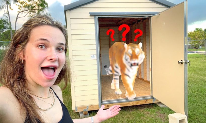 BUILDING NEW HOME FOR MYSTERY ANIMAL!
