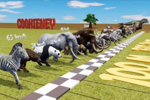 Big Race 30 Wild Animals, which is the fastest animal? | CookieNey