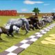 Big Race 30 Wild Animals, which is the fastest animal? | CookieNey