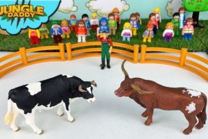 COW VS. BULLS BATTLE!! "Jungle Daddy" cow toys for kids schleich safari ltd mojo farm animals