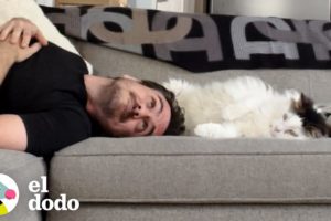 Chico cae en un "amor tóxico" con su gato acosador | El Dodo