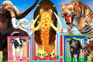 Cow Mammoth Elephant Gorilla Tiger vs Lion Fight Cow Cartoon Buffalo ESCAPE ROOM CHALLENGE Cage Game