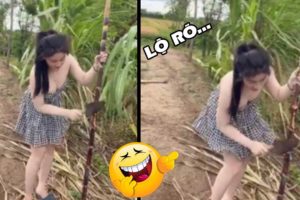 Cười Vỡ Bụng video Hài Hước Nhất.  Funny Fails Of The Week