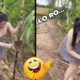 Cười Vỡ Bụng video Hài Hước Nhất.  Funny Fails Of The Week