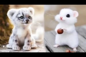 Cute Baby Animals Videos Compilation | Funny and Cute Moment of the Animals #4 - Cutest Animals 2023