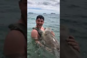 Cute Seal gives hugs while Sea Lion attacks human #animals