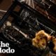 Dog Hates Halloween Decorations | The Dodo