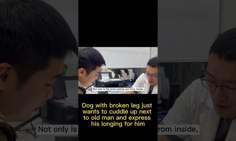 Dog With Broken Leg Just Wants To Cuddle Up Next To Old Man And Express His Longing For Him