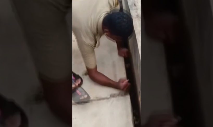Dog trapped in sewer was rescued by Kerala fire department #dog #rescue #shorts