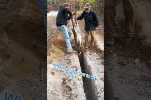 Duo Finds Deer Stuck in Narrow Gap and Rescues Them - 1454785