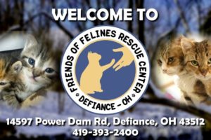 Friends of Felines Rescue Center