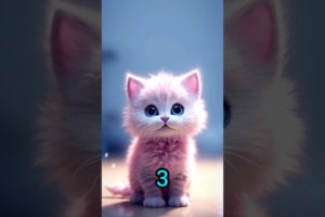 Funny  cat, #cat #cats #cute #catvideos #comedy #cutebaby #catclub #funny #funnyvideo #freefire #fyp