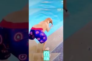Funny dogs in hilarious videos that make you laugh -  FUN part 13 #shorts #funny #dog #memes