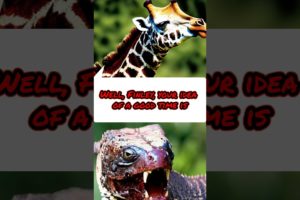 Giraffe VS Gila Monster   Incredible Wild Animal Fights of All Time
