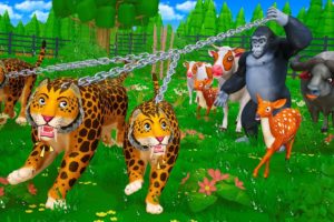 Gorilla vs Saber-toothed Cats | Farm Animals rescued from Wild Animals Attacks | Cow, Buffalo & Deer