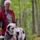 Gran danés encuentra una nueva abuela en su ruta que recorre todos las semanas | El Dodo