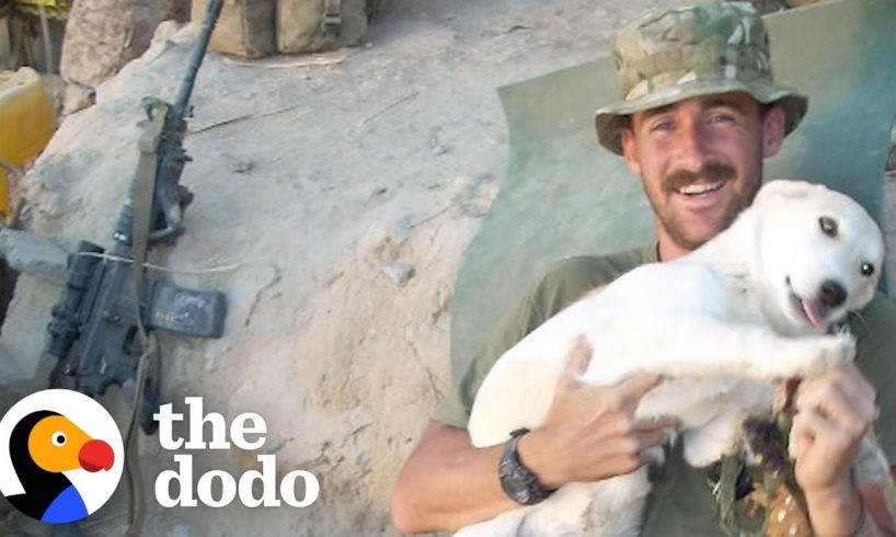 Guy Meets His Soul Dog On The Battlefield In Afghanistan | The Dodo