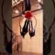 Incredible Aerial Silk Routines & ﻿More | Driven | People Are Awesome #shorts