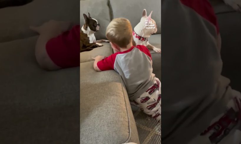 Kids and Pets, The Dynamic Duo! | Pets Translated