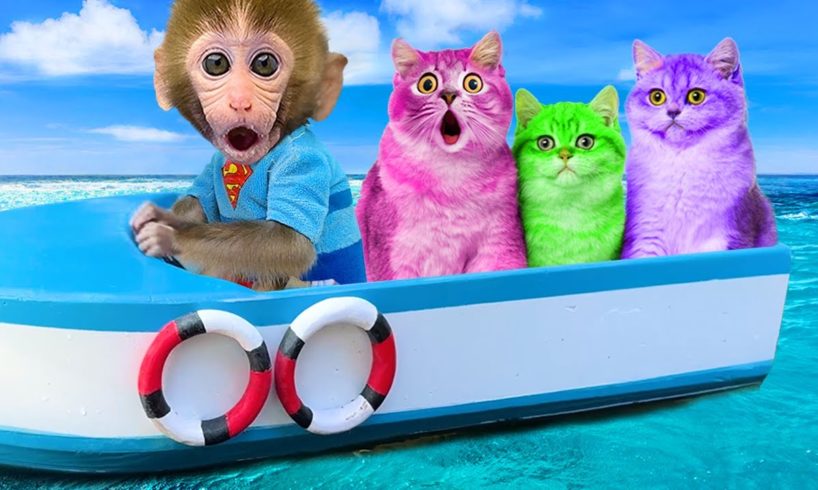 Monkey Baby Bon Bon Rescues Kittens and Swims with Ducklings in the Pool