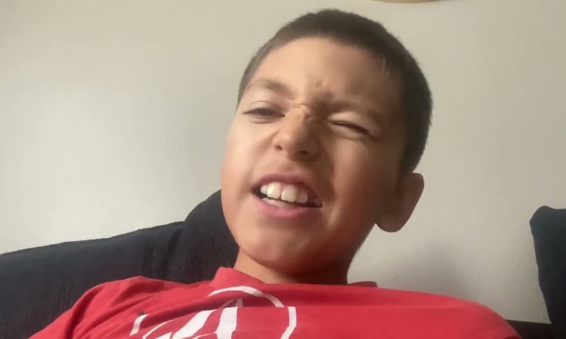 New stuff animal fights Halloween update