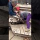 Owners Rescue Dog Stuck Underneath Pool Deck | People Are Awesome #shorts