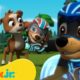 PAW Patrol Mighty Pups Ultimate Animal Rescues! w/ Chase & Liberty | 1 Hour Compilation | Nick Jr.