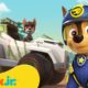 PAW Patrol Ultimate Rescue Missions! w/ Chase, Tracker & Marshall | 90 Minute Compilation | Nick Jr.