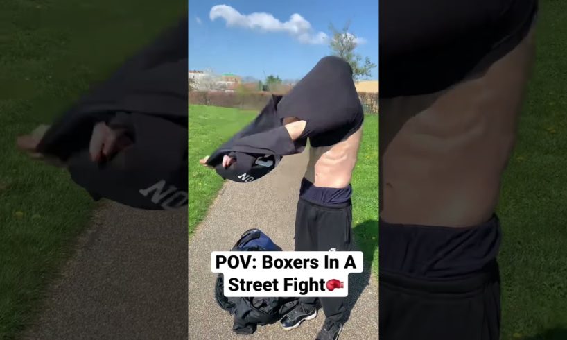 POV: Boxers In A Street Fight