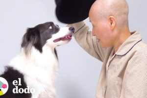 Perro espera meses a que mamá regrese del hospital | El Dodo