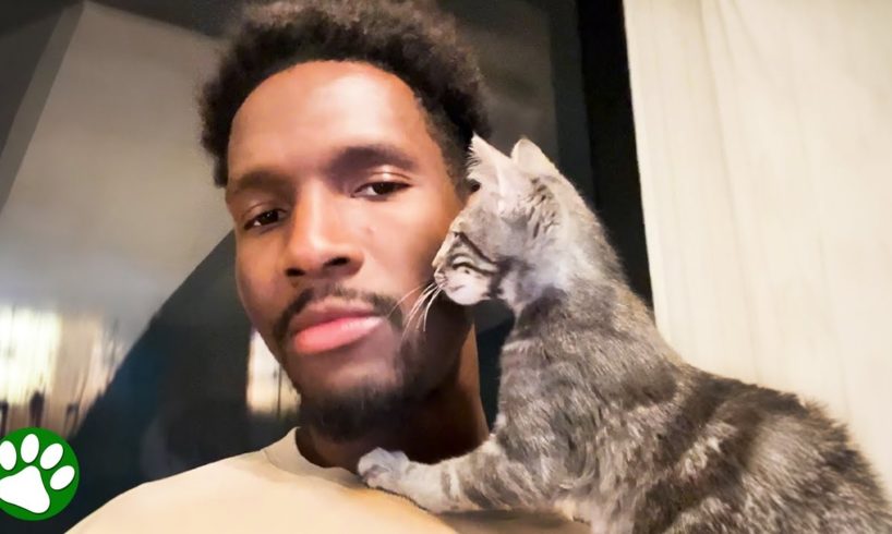 Pro Basketball Player Finds Newborn Kittens In VIP Area