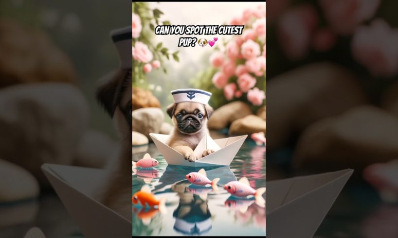 Ready for the cutest puppies??! #shorts 🐶💕