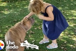 Sick Shelter Pit Bull Captures 2-Year-Old Girl's Heart | The Dodo Pittie Nation