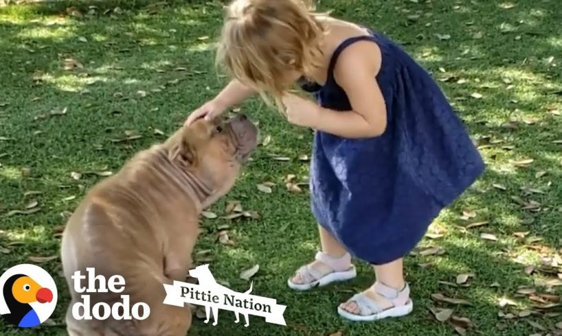 Sick Shelter Pit Bull Captures 2-Year-Old Girl's Heart | The Dodo Pittie Nation