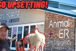 TAKING MY DOG TO THE ANIMAL HOSPITAL | IM SORRY THIS WAS ALL MY FAULT