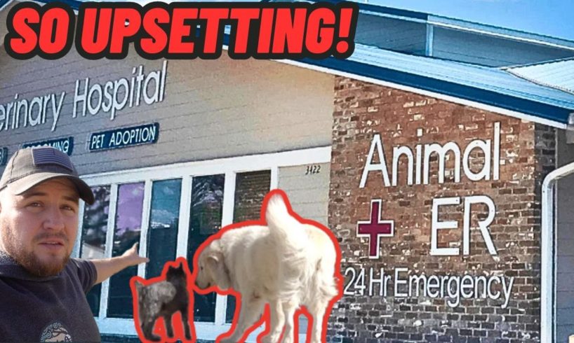 TAKING MY DOG TO THE ANIMAL HOSPITAL | IM SORRY THIS WAS ALL MY FAULT