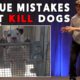 The Biggest Mistake that Dog Rescues Make - and it gets GOOD DOGS Killed
