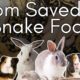 The Dark Side to Animal Rescue: The Humane Society’s EVIL Secret