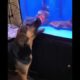 The cute fight between animals🤪|the war is begin now|animals fights|war is on|fight#trending#viral