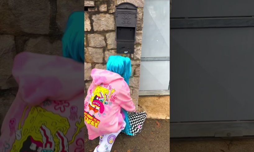 The cutest kitten Ever ❤️