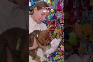 They Dumped Poor Tiny Puppy Like a Trash… #animals rescue #puppy rescue #shorts