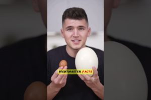 This Is The World's Largest Egg !🔥by @RightMasterFacts  #shorts #viral #latest