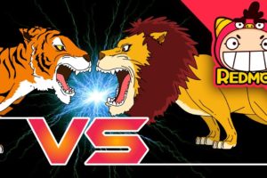 Tiger VS Lion | Animal battle | for Toddlers | funny video | REDMON