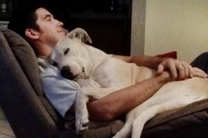 Time spent with Dog is never wasted -  Cute Dogs and Owners Moments