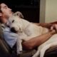 Time spent with Dog is never wasted -  Cute Dogs and Owners Moments