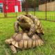 Tortoise Duplication Glitch (REAL)