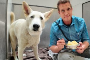 Watch the moment he realizes this THANKSGIVING meal's for him