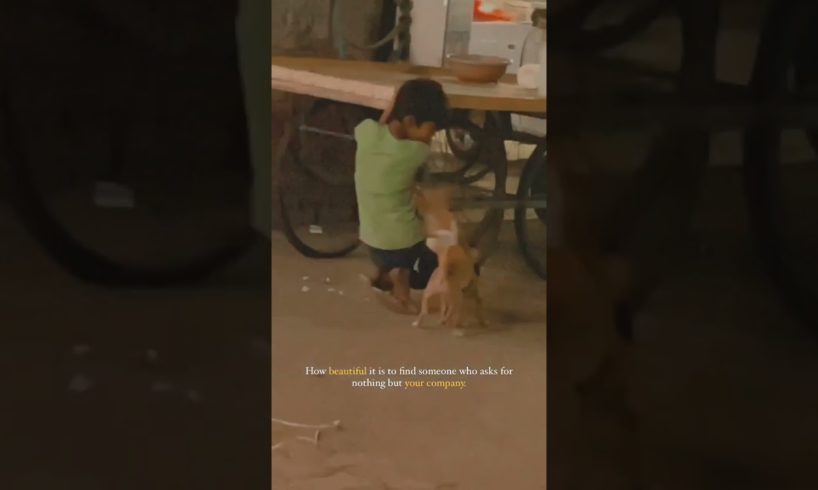 cute puppies 🐶 playing  with kid  #doglover #puppies #kidsvideo #dogshorts #kids